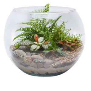 Ref. 924 - Aquário Gigante N° 5 9,8L