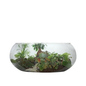 Ref. 798 Terrário Pequeno