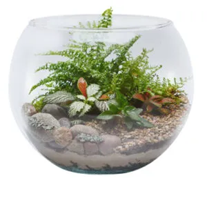 Ref. 924 - Aquário Gigante N° 5 9,8L